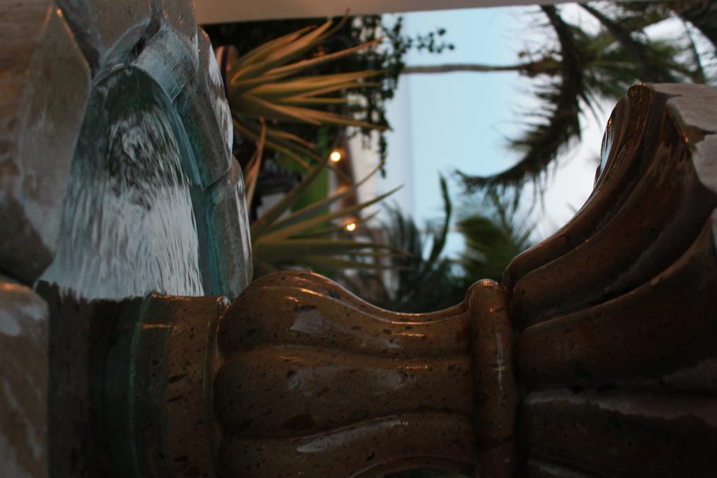 Hotel Casa Costa Azul San José del Cabo Exteriér fotografie