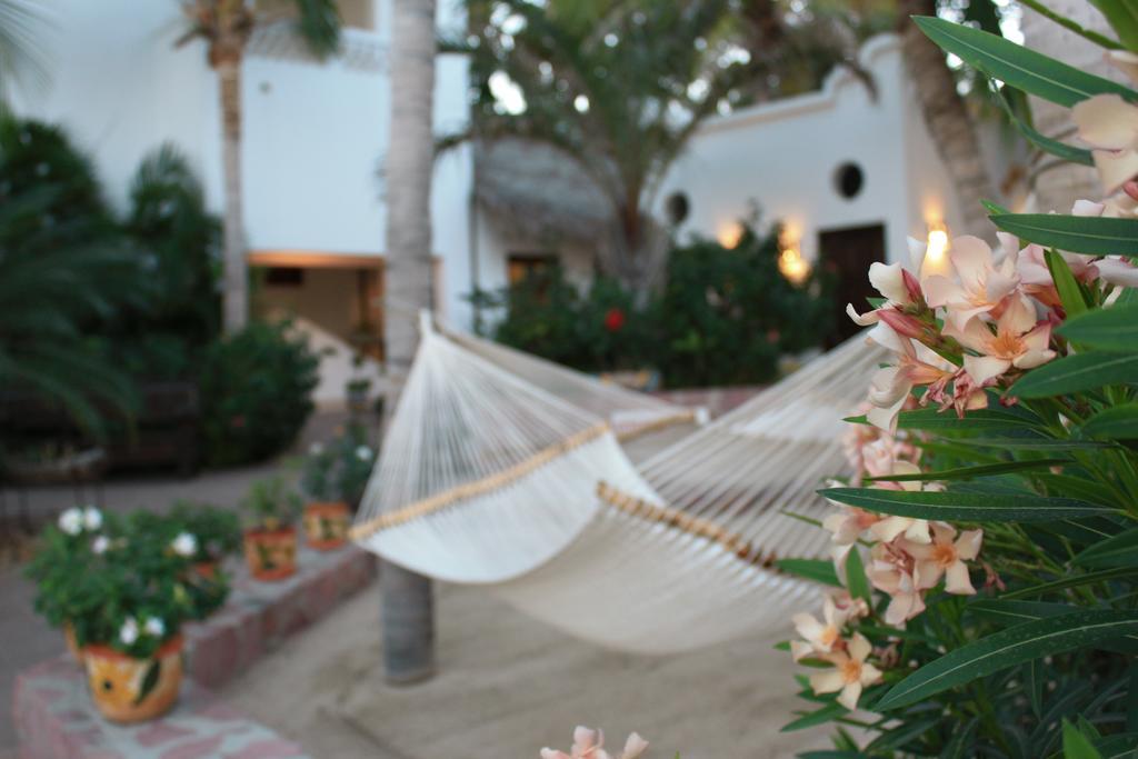 Hotel Casa Costa Azul San José del Cabo Exteriér fotografie