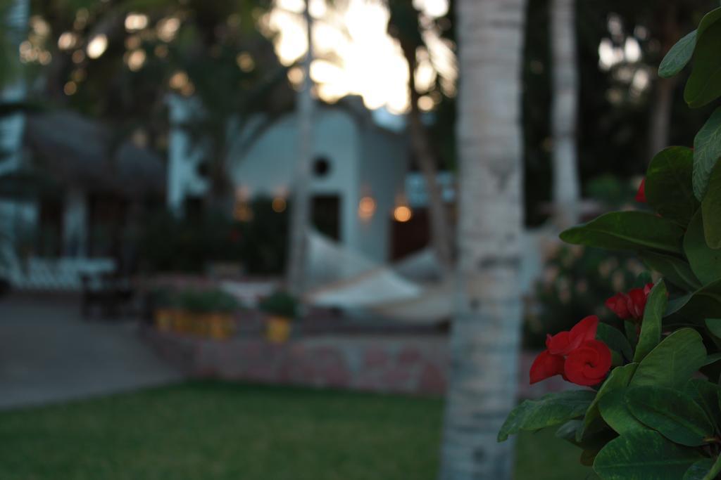 Hotel Casa Costa Azul San José del Cabo Exteriér fotografie