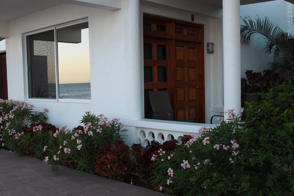 Hotel Casa Costa Azul San José del Cabo Exteriér fotografie